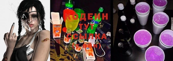 прущие грибы Каменка