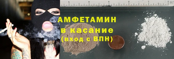 прущие грибы Каменка