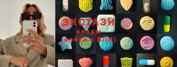 прущие грибы Каменка