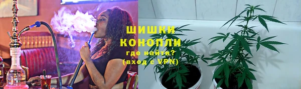 крисы Каменногорск