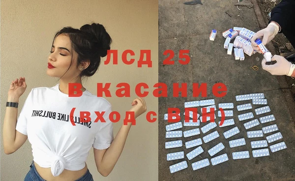прущие грибы Каменка