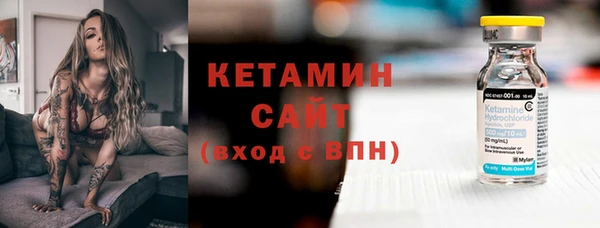 прущие грибы Каменка