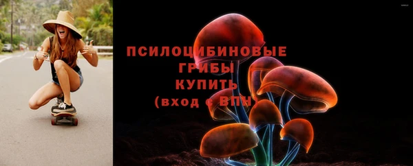 прущие грибы Каменка