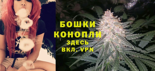 крисы Каменногорск