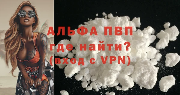 прущие грибы Каменка