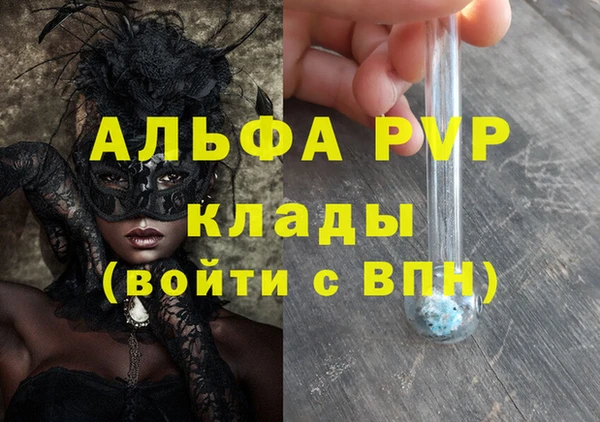 крисы Каменногорск