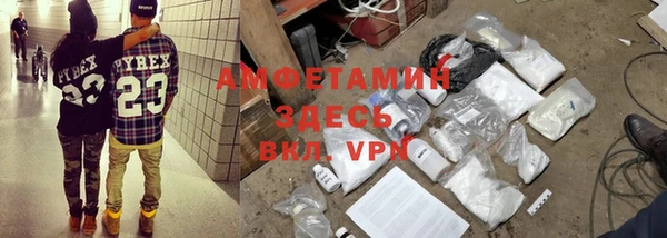 прущие грибы Каменка