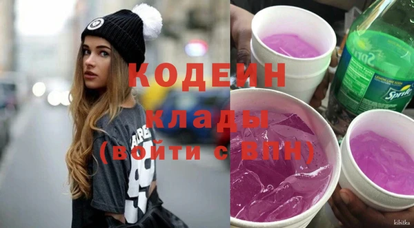 прущие грибы Каменка