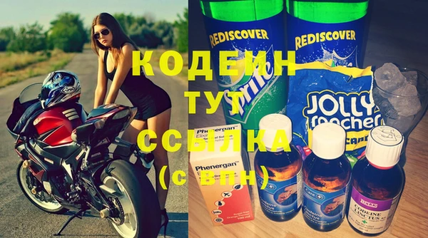 прущие грибы Каменка